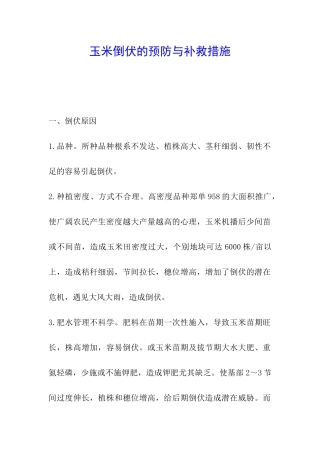 玉米倒伏的预防与补救措施