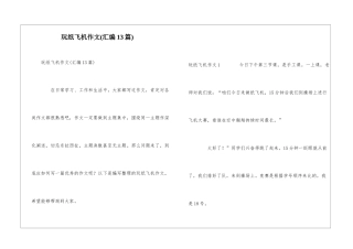玩纸飞机作文