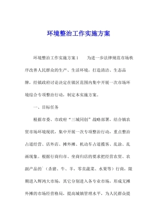 环境整治工作实施方案