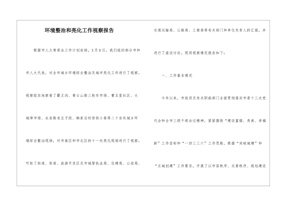 环境整治和亮化工作视察报告_第1页