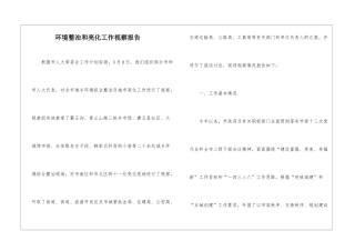 环境整治和亮化工作视察报告