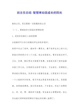 班主任总结-智慧束幼苗成长的阳光-