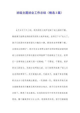 班级主题班会工作总结