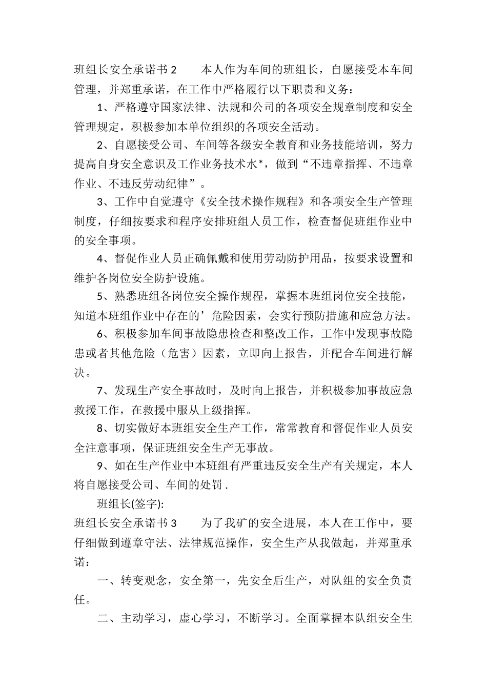 班组长安全生产承诺书5篇_第3页