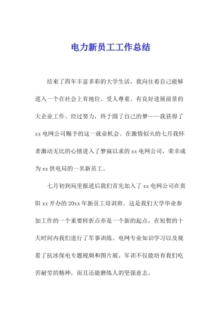 电力新员工工作总结