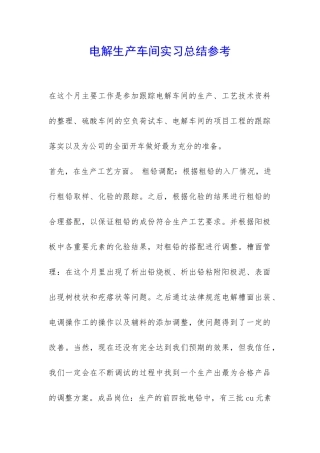 电解生产车间实习总结参考-