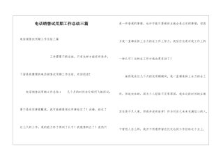 电话销售试用期工作总结三篇