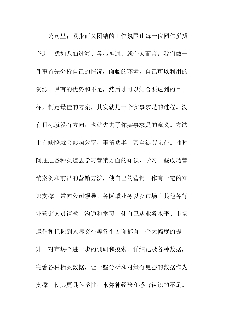 白酒销售总结_第2页