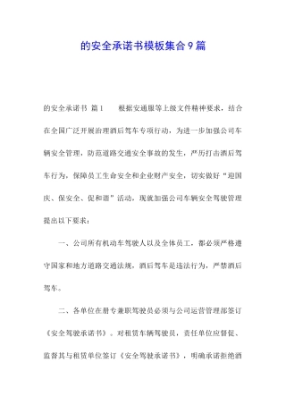 的安全承诺书模板集合9篇