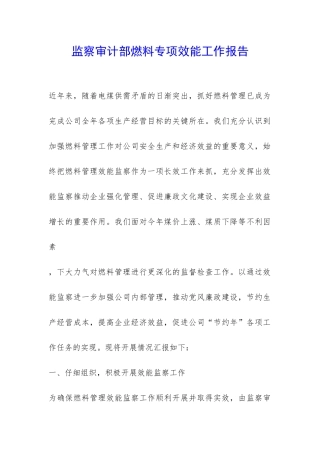 监察审计部燃料专项效能工作报告-