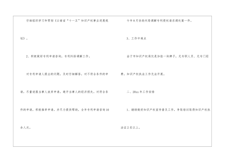 知识产权局工作总结_第2页