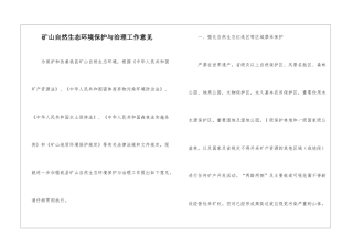 矿山自然生态环境保护与治理工作意见