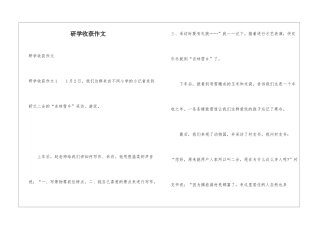 研学收获作文