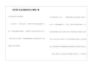 社会实践活动作文集锦7篇