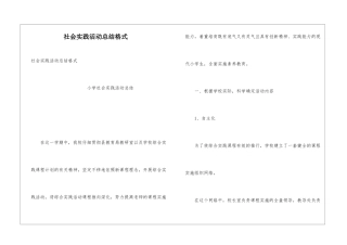 社会实践活动总结格式