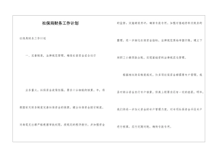 社保局财务工作计划