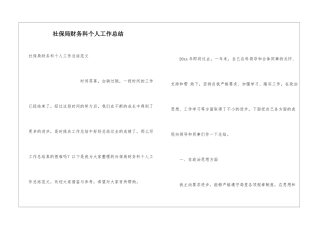 社保局财务科个人工作总结