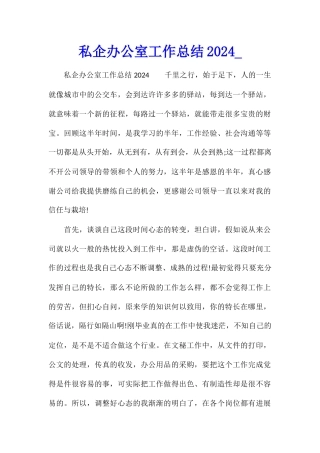 私企办公室工作总结2024