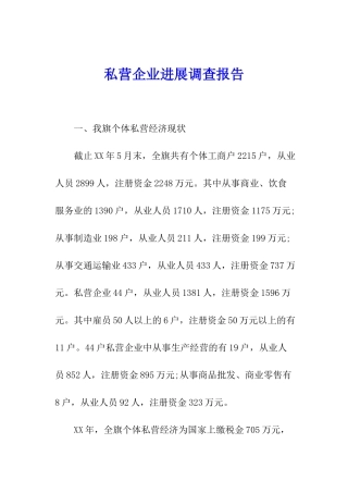 私营企业发展调查报告