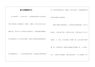 秋天的枫树作文