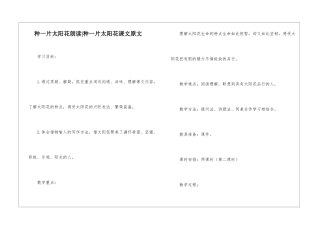 种一片太阳花朗读-种一片太阳花课文原文-