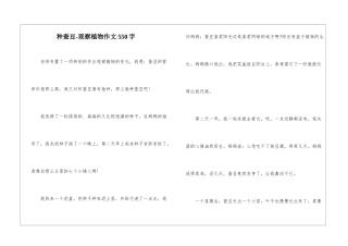 种蚕豆-观察植物作文550字-
