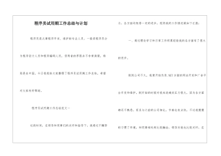 程序员试用期工作总结与计划