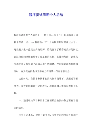 程序员试用期个人总结