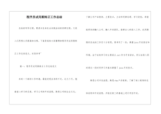 程序员试用期转正工作总结
