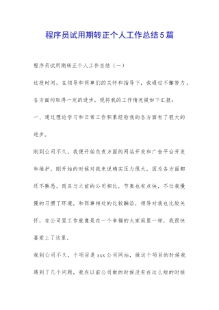 程序员试用期转正个人工作总结5篇-