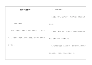 税务自查报告