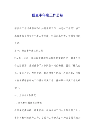 稽查半年度工作总结-