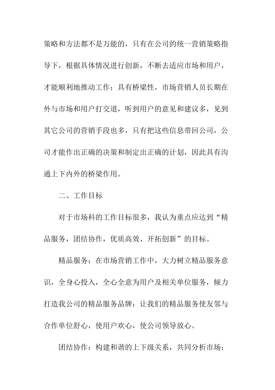 竞聘工作计划_第2页