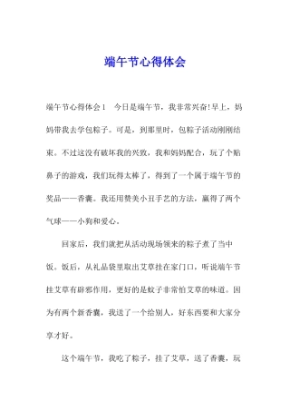 端午节心得体会