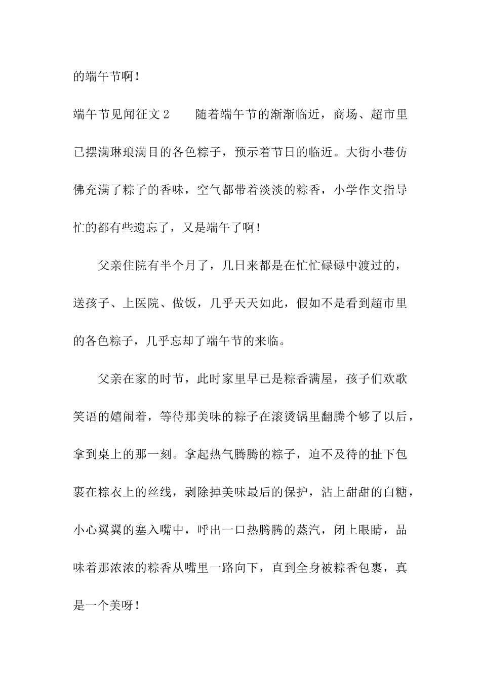端午节见闻征文_第3页