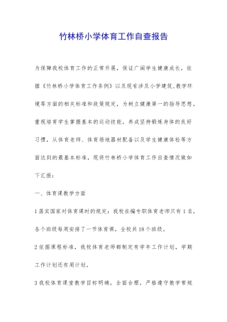 竹林桥小学体育工作自查报告-