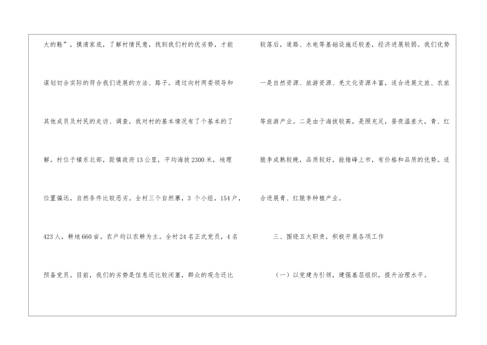 第一书记驻村期间述职报告_第2页