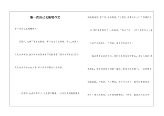 第一次自己去购物作文