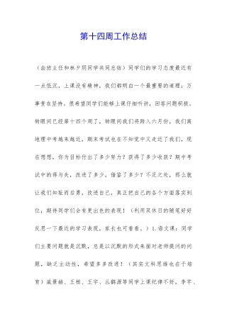 第十四周工作总结-