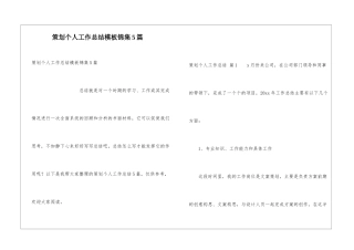 策划个人工作总结模板锦集5篇