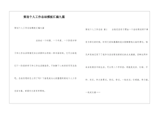 策划个人工作总结模板汇编九篇