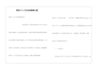 策划个人工作总结锦集九篇