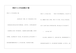 策划个人工作总结集合六篇