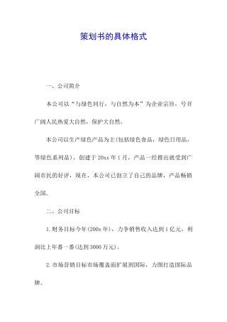 策划书的具体格式