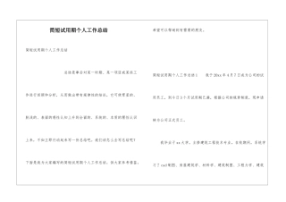 简短试用期个人工作总结