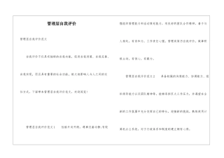 管理层自我评价
