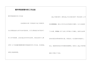 精华网络销售年终工作总结