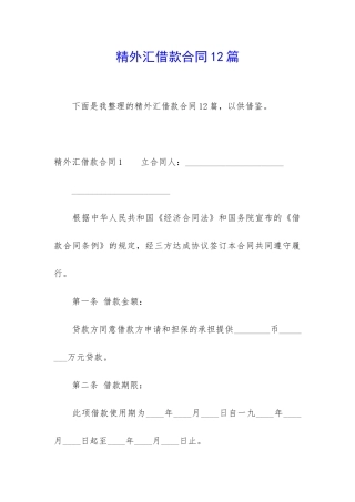 精外汇借款合同12篇