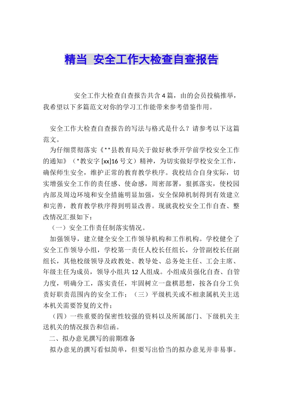 精当-安全工作大检查自查报告_第1页