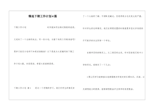 精选下期工作计划4篇